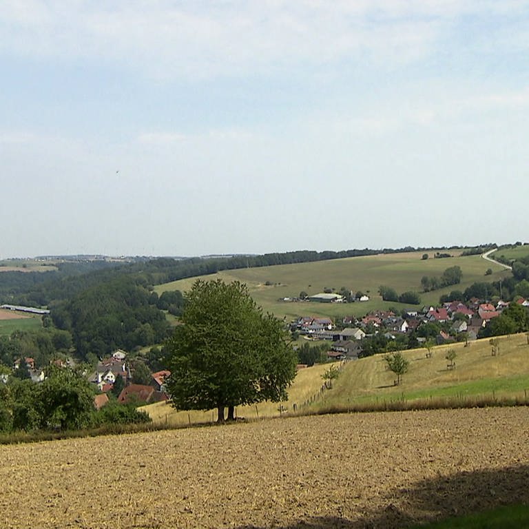 Hierzuland Höhmühlbach Ortsansicht (Foto: SWR)