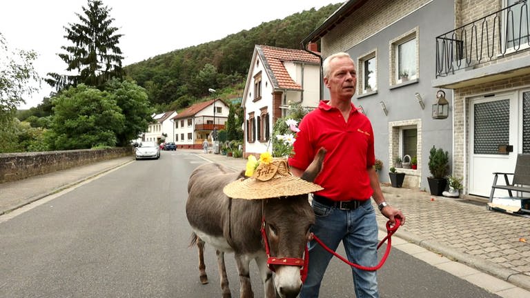 Grethen-Hausen - Spaziergang mit Esel
