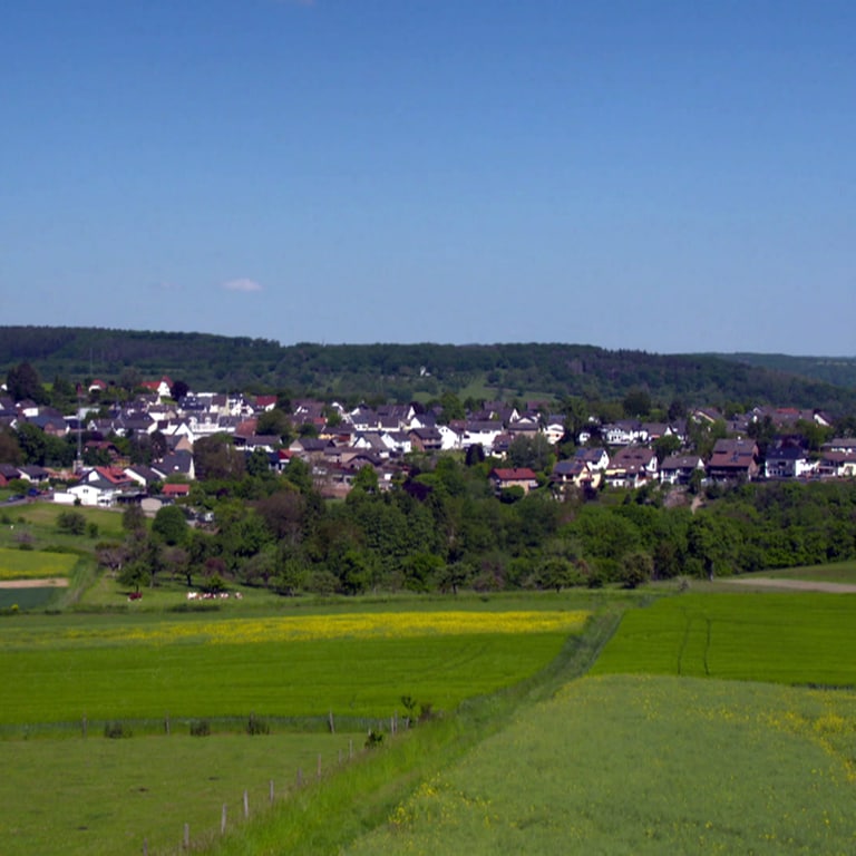 Ortsansicht Koisdorf (Foto: SWR)