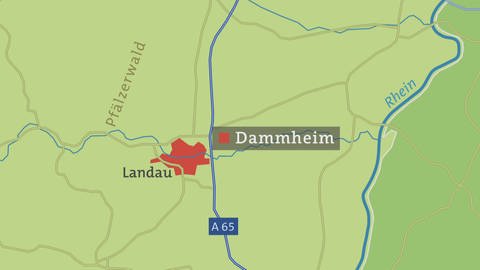 HZL - Dammheim - Karte (Foto: SWR, HZL - Dammheim - Karte)