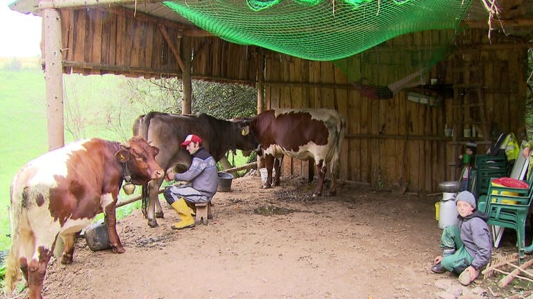 Hierzuland Reipeldingen Mann melkt Kühe (Foto: SWR)
