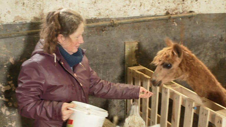 Hierzuland Nerzweiler Frau füttert Lama (Foto: SWR)