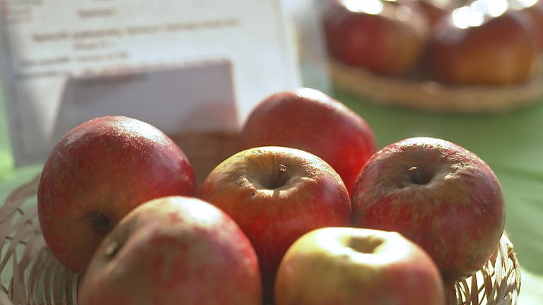Hierzuland Hinterplag, Äpfel (Foto: SWR)