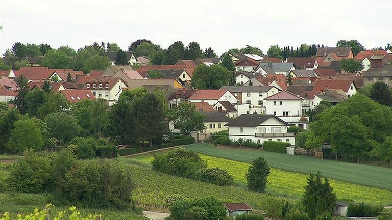 Ortsansicht von Dolgesheim (Foto: SWR, SWR -)