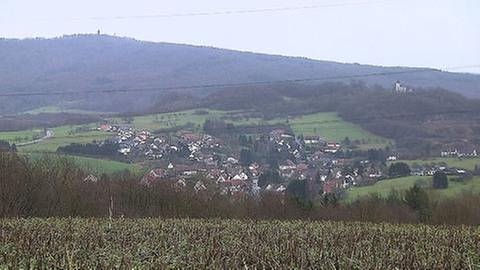 Blick auf Haschbach am Remigiusberg (Foto: SWR, SWR -)