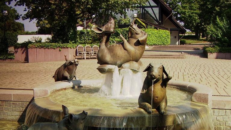 Brunnen mit Schweinen in Bornheim (Foto: SWR, SWR -)