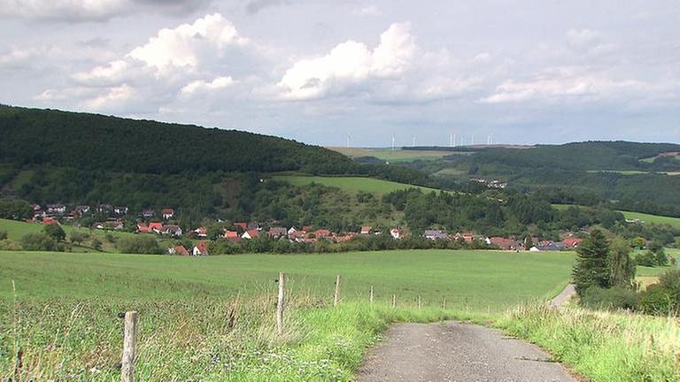 Katzenbach (Foto: SWR, SWR -)