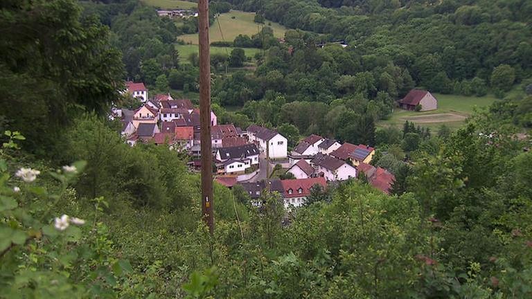 Ginsweiler -  Ortsansicht (Foto: SWR, SWR -)