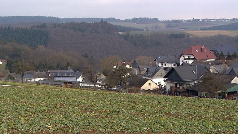 Ortsansicht von Thörlingen (Foto: SWR, SWR -)