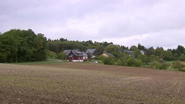 Steffenshof (Foto: SWR, SWR -)