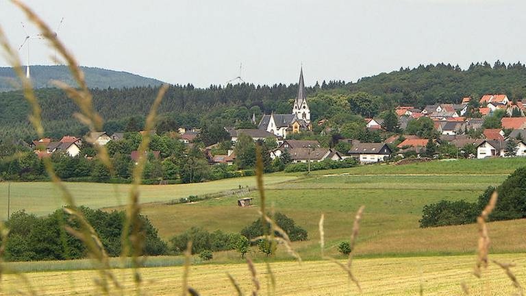 Ortsansicht von Daxweiler (Foto: SWR, SWR -)