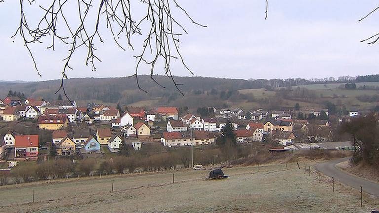 Ortsansicht von Schmittweiler (Foto: SWR, SWR -)