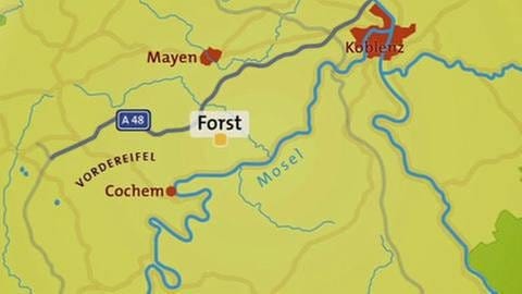 Karte von Forst (Foto: SWR, SWR -)
