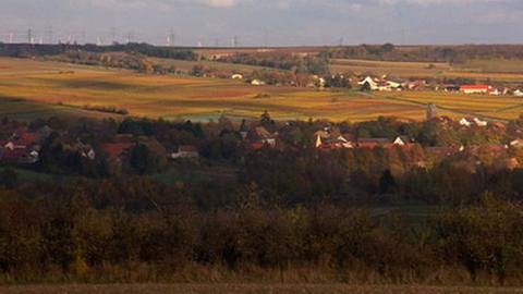 Blick auf den Ort Eppelsheim (Foto: SWR, SWR -)