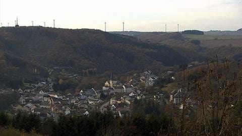 Blick auf das Dorf Waxweiler (Foto: SWR, SWR -)