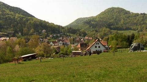 Nothweiler Ortsansicht (Foto: SWR, SWR -)