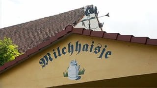 Milchhasje in Mörstadt (Foto: SWR, SWR -)