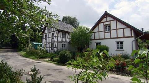 Häuser an Dorfstraße in Harschbach (Foto: SWR, SWR -)