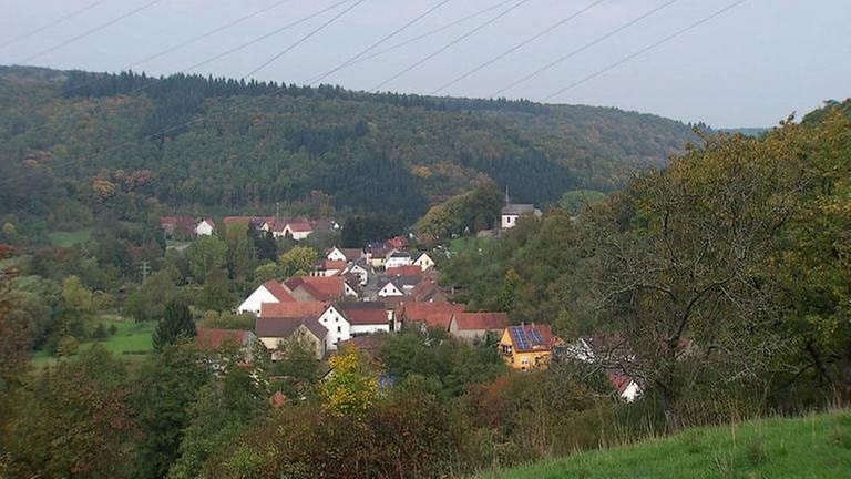 Oberweiler-Tiefenbach (Foto: SWR, SWR -)
