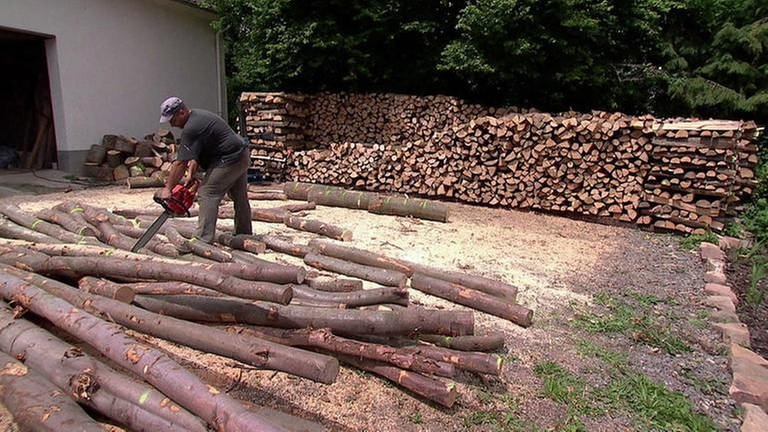 Holz zum Bauen (Foto: SWR, SWR -)