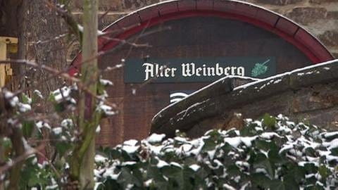 Alter Weinberg (Foto: SWR, SWR -)