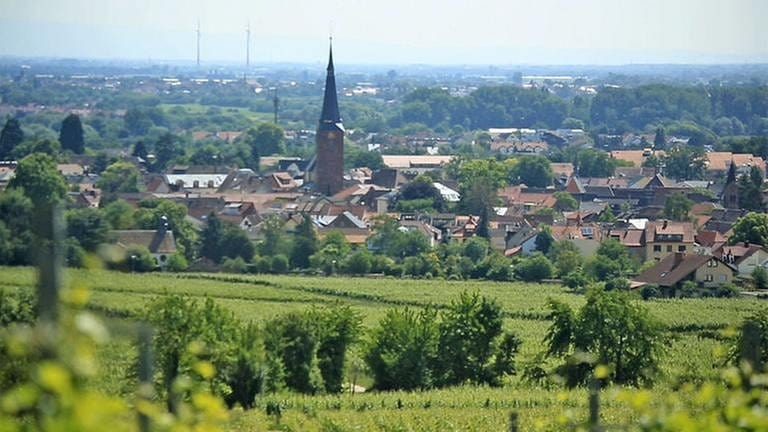 Deidesheim (Foto: SWR, SWR -)