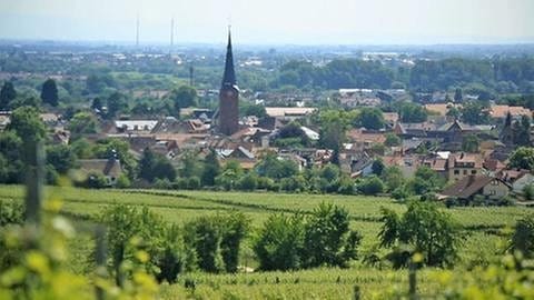Deidesheim (Foto: SWR, SWR -)