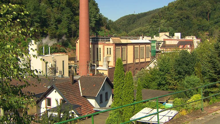 Papierfabrik Julius Glatz in Neidenfels (Foto: SWR)