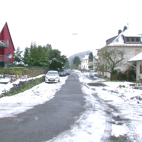 Arzbach Wiesenweg