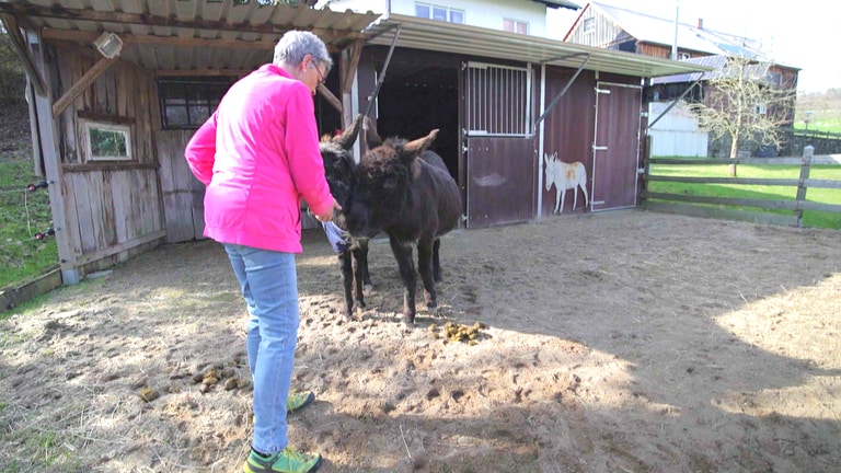 Derschen Doris Krah und ihre Esel (Foto: SWR)