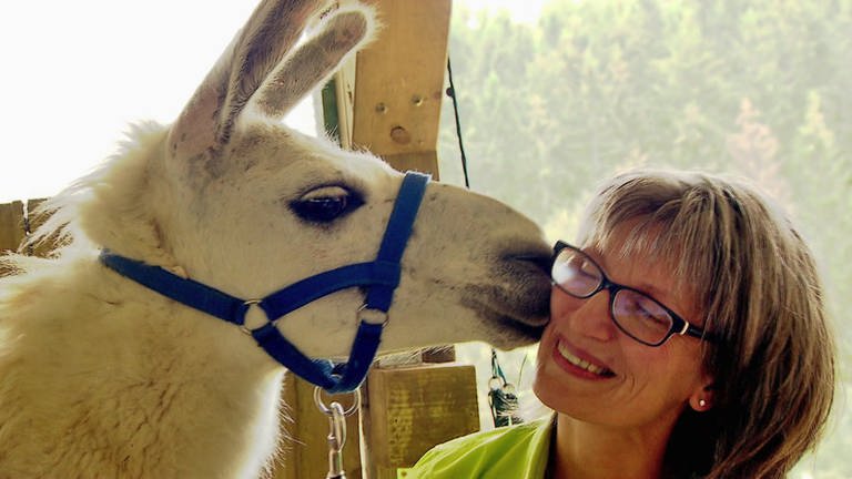 Hierzuland Katzenbach küssende Lama (Foto: SWR)