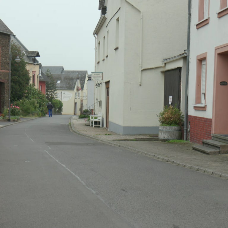 Hauptstraße in Erden (Foto: SWR)