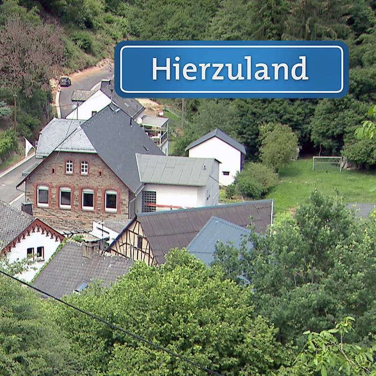 hzl-Reichenberg-Auf-dem-Berg-Schild (Foto: SWR)