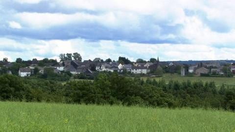 Blick auf Zilshausen (Foto: SWR, SWR -)