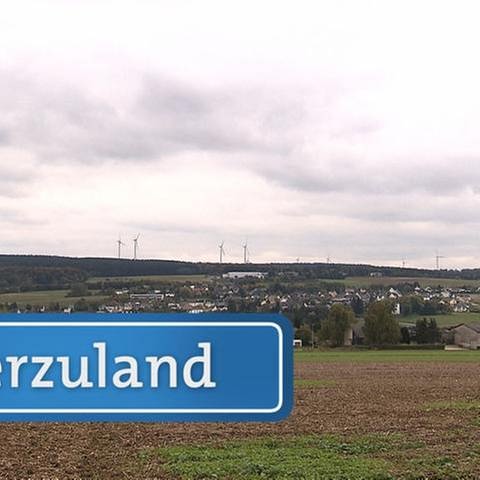 Pfalzfeld (Foto: SWR, SWR -)