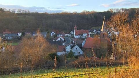 Wiesbach Ortsansicht (Foto: SWR, SWR -)