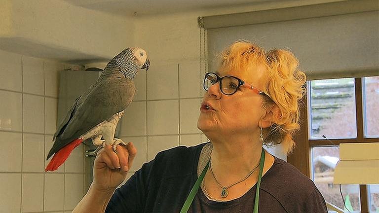 Margot Henn mit ihrem Papagei "Bobby" (Foto: SWR, SWR -)