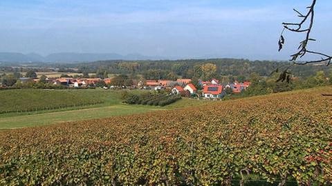 Blick auf Hergersweiler (Foto: SWR, SWR -)
