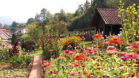 Ein schöner Garten mit Blick auf das Dorf und den Wald. (Foto: SWR, SWR -)