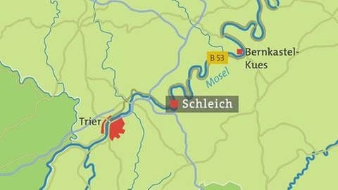 Karte von Schleich (Foto: SWR, SWR -)