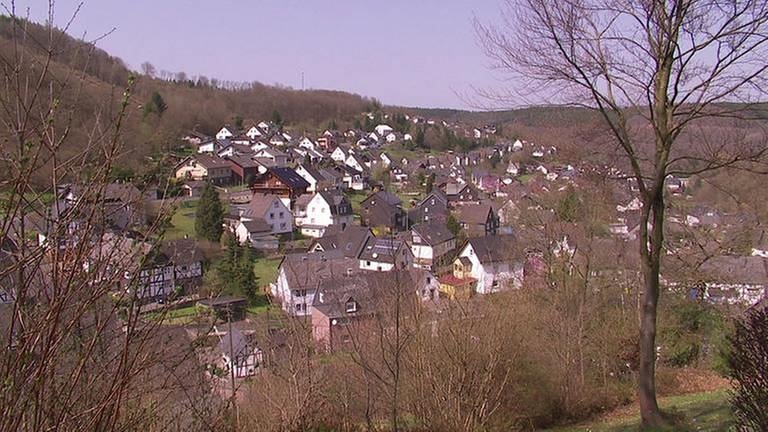 Ortsansicht von Niederdreisbach (Foto: SWR, SWR -)