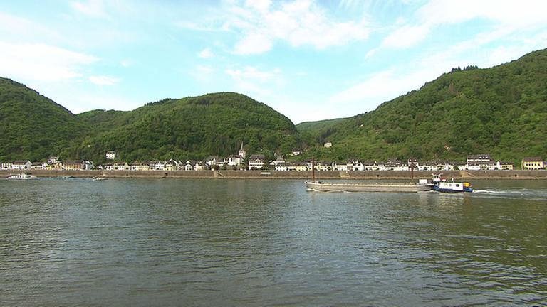 Hirzenbach vom Rhein aus (Foto: SWR, SWR -)
