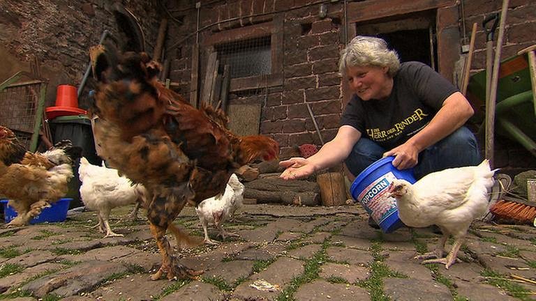Monika Hemmer füttert die Hühner (Foto: SWR, SWR -)