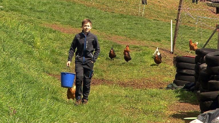 Tim Baumbauer betreibt eine Hühnerzucht (Foto: SWR, SWR -)