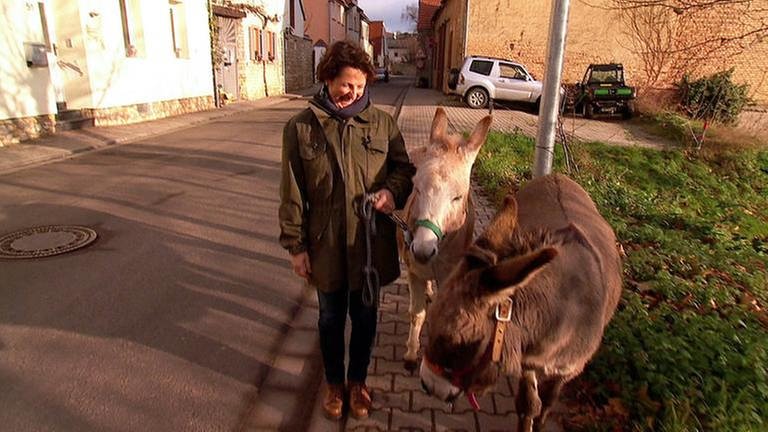 Susanne Lusiardi mit ihren Eseln (Foto: SWR, SWR -)