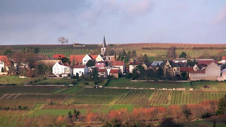 Ortsansicht von Mölsheim (Foto: SWR, SWR -)