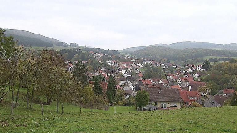Bosenbach Ortsansicht (Foto: SWR, SWR -)