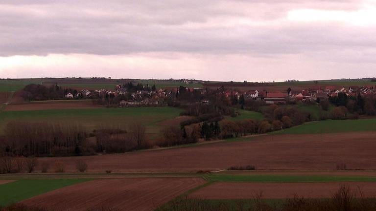 Ortsansicht von Biedesheim (Foto: SWR, SWR -)