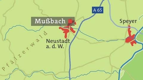 Karte von Mußbach (Foto: SWR, SWR -)