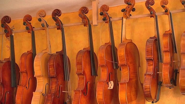 Geigen (Foto: SWR, SWR -)